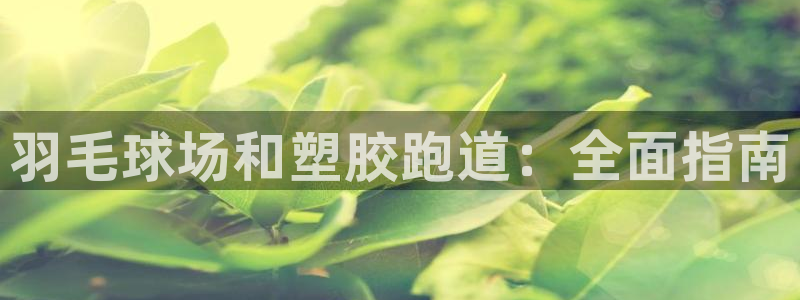 尊龙凯时开发：羽毛球场和塑胶跑道：全面指南