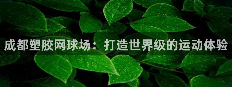 尊龙游戏app官方网站：成都塑胶网球场：打造世界级的运动体验