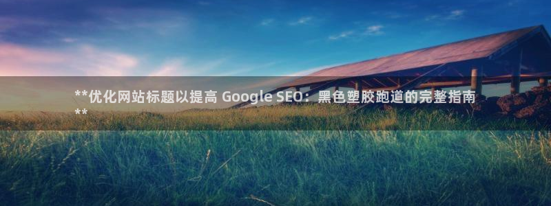 尊龙网站手机下载：**优化网站标题以提高 Googl