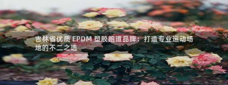 尊龙实业有限公司属于国企吗：吉林省优质 EPDM 塑