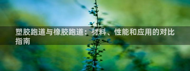 尊龙凯时干什么的：塑胶跑道与橡胶跑道：材料、性能和应用的对比
指南