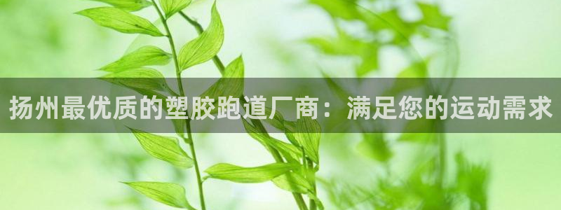 尊龙凯时赞助：扬州最优质的塑胶跑道厂商：满足您的运动