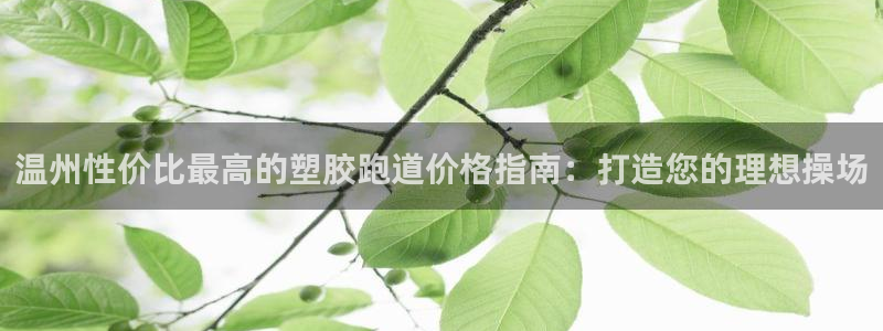 尊龙凯时俱乐部：温州性价比最高的塑胶跑道价格指南：打造您的理想操场