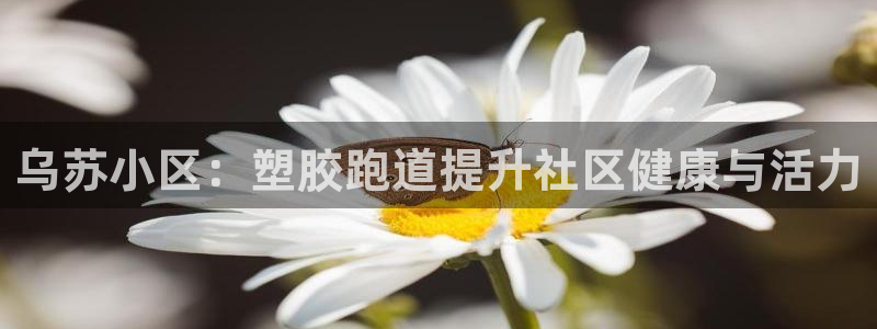 尊龙凯时d3563：乌苏小区：塑胶跑道提升社区健康与