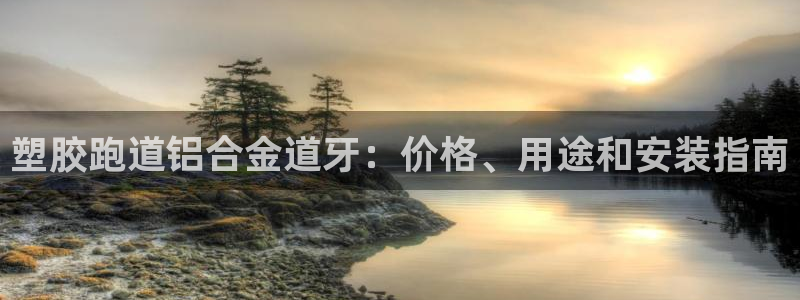 尊龙d88官网准认来就送38：塑胶跑道铝合金道牙：价格、用途和安装指南