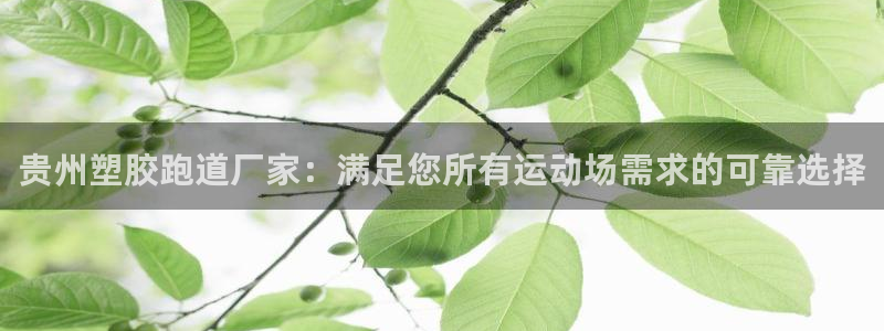 d88尊龙可靠送38元：贵州塑胶跑道厂家：满足您所有运动场需求的可靠选择